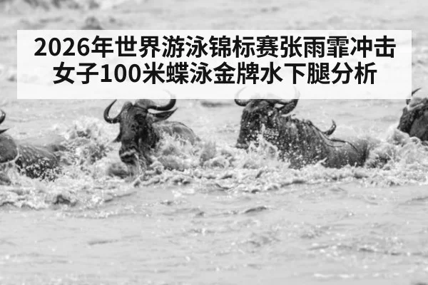 2026年世界游泳锦标赛张雨霏冲击女子100米蝶泳金牌水下腿分析